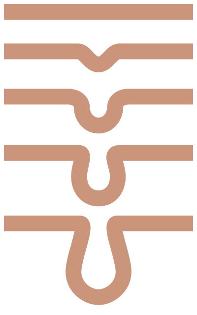 Technology logo rpl svg bronze