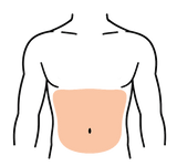 Abdomen
