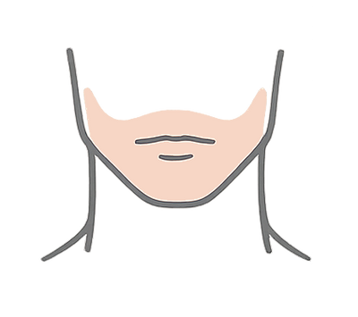 Chin t