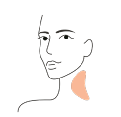 Neck new