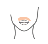 Labio superior